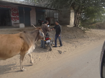 Tordi Garh, India: Kenneth Curtis blog