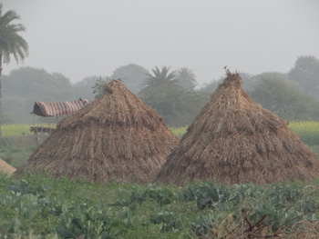 Tordi Garh, India: Kenneth Curtis blog