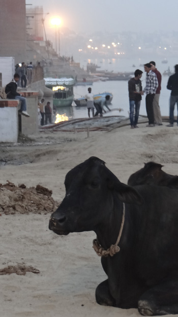  Varanasi, India: Kenneth Curtis blog