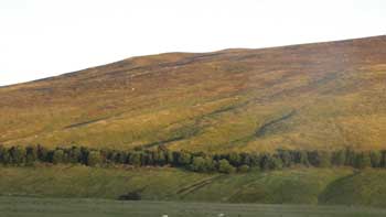 Scottish Highlands, Ken Curtis Summer 2010